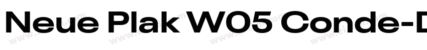 Neue Plak W05 Conde字体转换